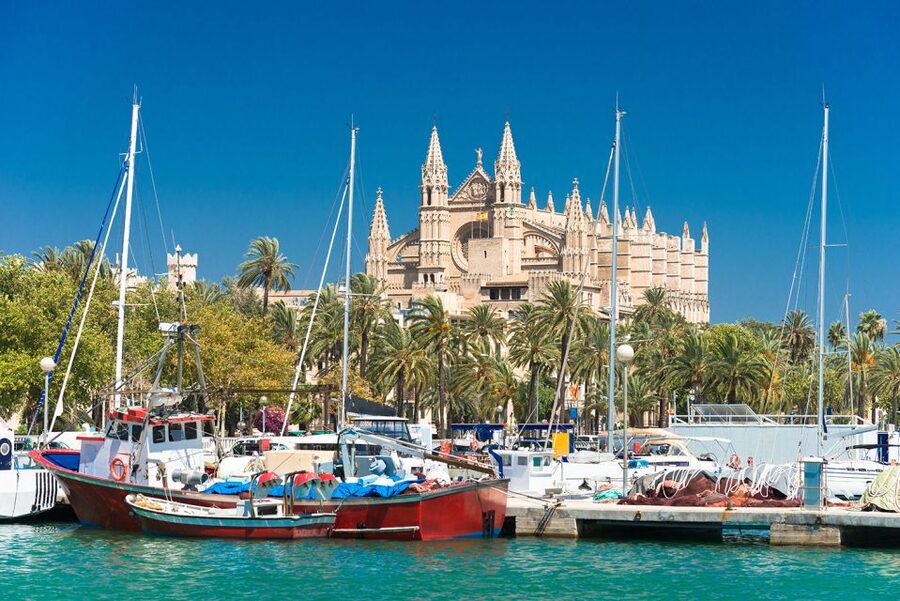 Palma de Mallorca: Free time in Palma & Boat Tour - Who This Tour Fits Best (And Who Might Feel Limited)