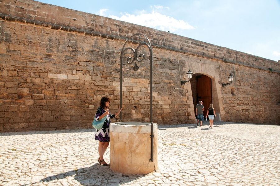 Palma de Mallorca: Full-Day Tour with Departure Options - Who This Tour Suits Best, and Who Should Consider Alternatives
