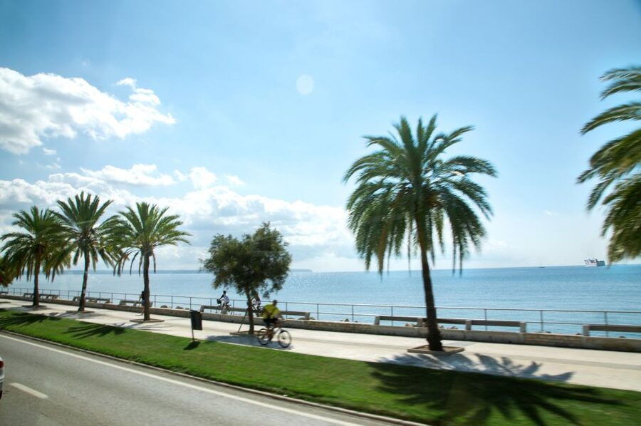 Palma de Mallorca: Full-Day Tour with Departure Options - A Perfect-Sized Day: Palma in an 8-Hour Block