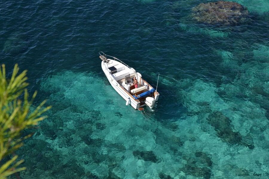 Palma de Mallorca: Full or Half-Day Boat Trip with Brunch - Who this Palma boat trip suits best