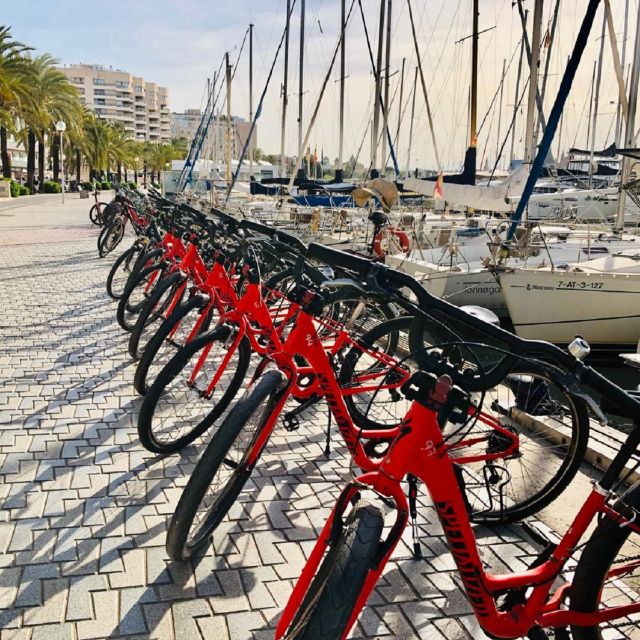 Palma de Mallorca: Guided Bicycle Tour with Tapas & a Drink - The Seafront Stretch to La Seu and Parc de la Mar