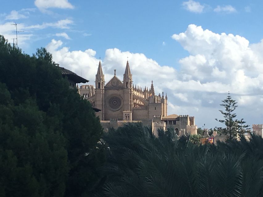 Palma de Mallorca: Guided Tour of the Old Town - Walking Palma’s old town with a guide who makes the city make sense