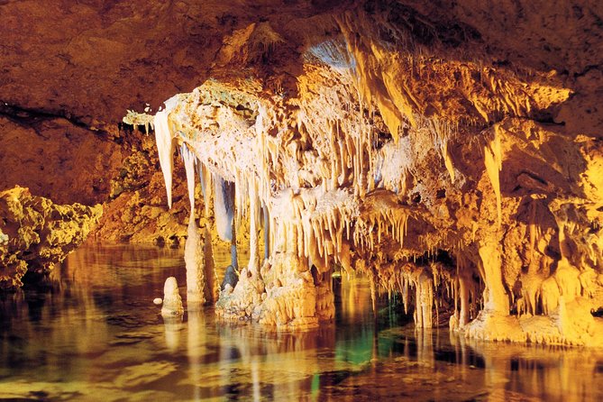 Palma de Mallorca Half-Day to Caves of Hams, Blue Cave and film - Entering Caves of Hams: stalactites, small lakes, and a route that keeps moving