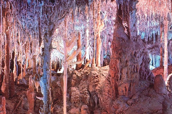Palma de Mallorca Half-Day to Caves of Hams, Blue Cave and film - Timing and logistics: morning tour means an open afternoon, with one tradeoff