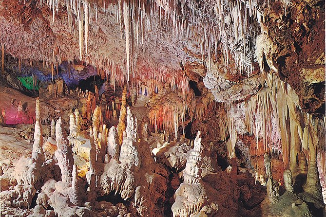 Palma de Mallorca Half-Day to Caves of Hams, Blue Cave and film - Price and value: what $57.19 gets you, and when DIY can beat it