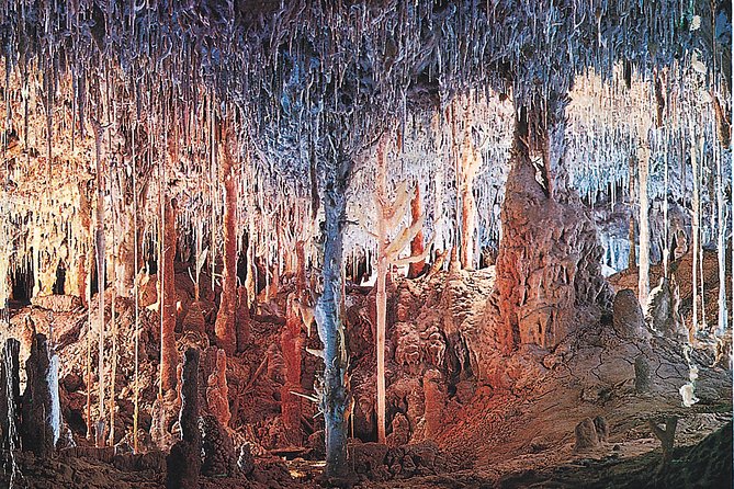 Palma de Mallorca Half-Day to Caves of Hams, Blue Cave and film - From Palma to Porto Cristo: the coach ride part you should plan for