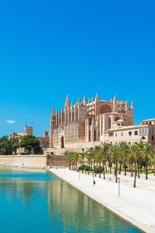 Palma de Mallorca : Must see Walking Tour With A Guide - Plaça de Santa Eulàlia, Basílica de Sant Francesc, and church rhythm