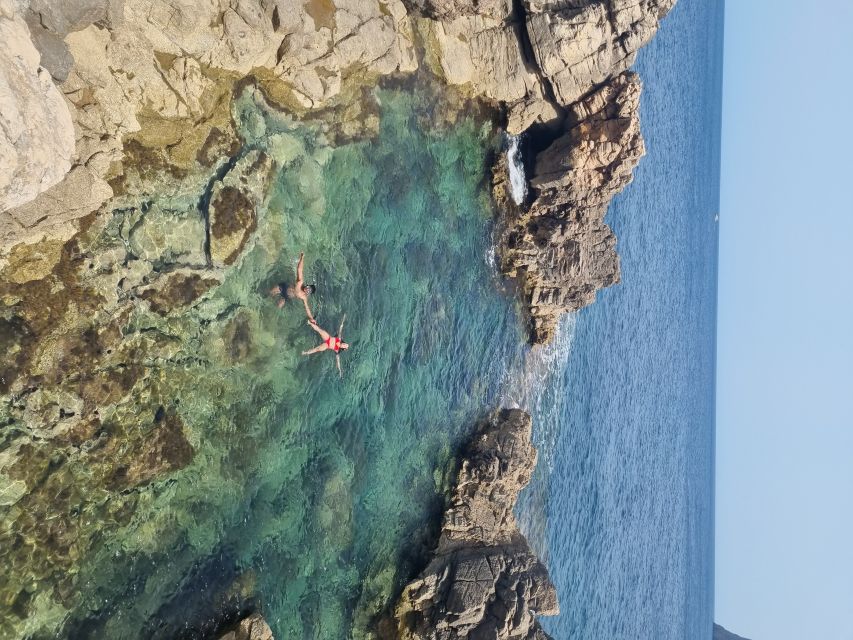 Palma de Mallorca: North Coast Nature Escape Day Tour - Key highlights worth getting excited about