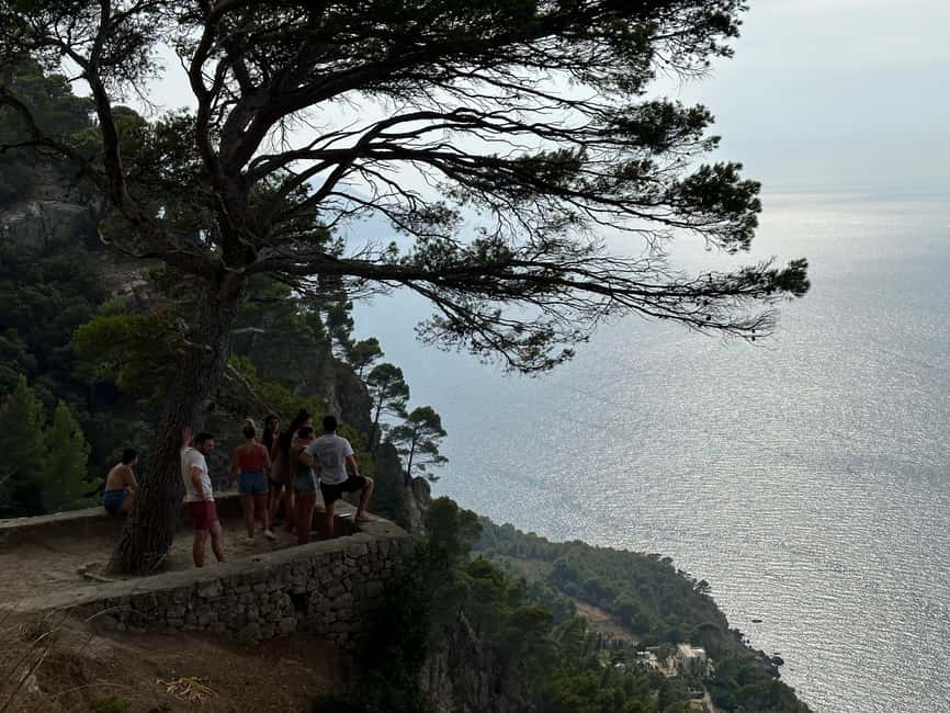 Palma de Mallorca: North Coast Nature Escape Day Tour - Second Cove Swim: Another 2 Hours to Actually Enjoy the Water