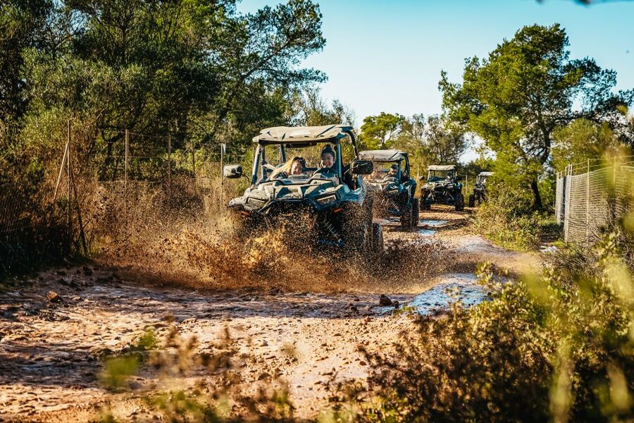 Palma de Mallorca: Off/On Road Buggy Tour with 2 or 4 Seater - The Off Road Turn After Sant Jordi: Where the Terrain Actually Changes