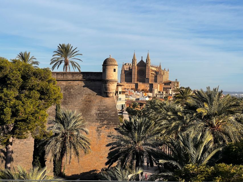 Palma de Mallorca: Old Town Atmospheric Evening Tour - A 2-Hour Night Walk That Makes Old Palma Feel Real