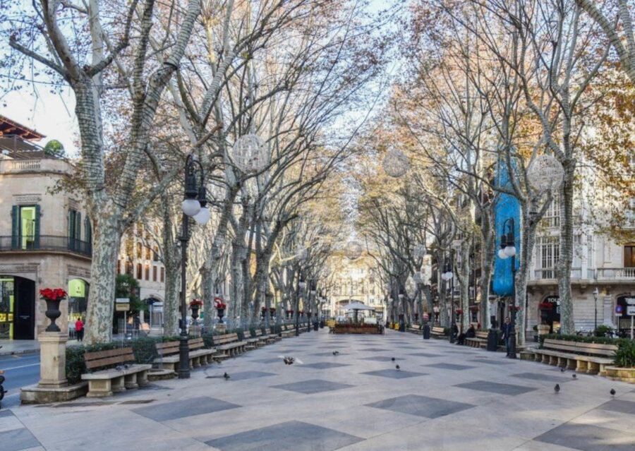 Palma de Mallorca: Old Town Guided Tour & Cathedral Visit - Timing, length, and what to do with the rest of your day