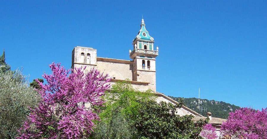 Palma de Mallorca: Palma and Valldemossa free time - A half-day of freedom, with transfers done for you