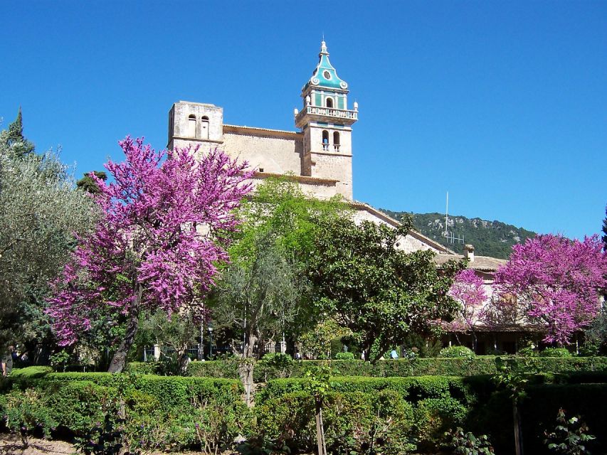 Palma de Mallorca: Palma and Valldemossa free time - The bus guide on board: small help that matters