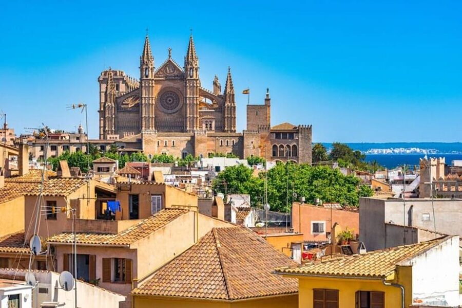 Palma de Mallorca: Private custom tour with a local guide - Key highlights worth your attention