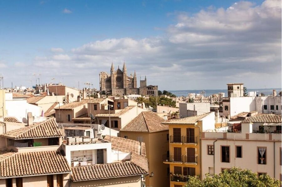 Palma de Mallorca: Private custom tour with a local guide - Getting Oriented Fast in Palma, From Pickup to First Photo Stop