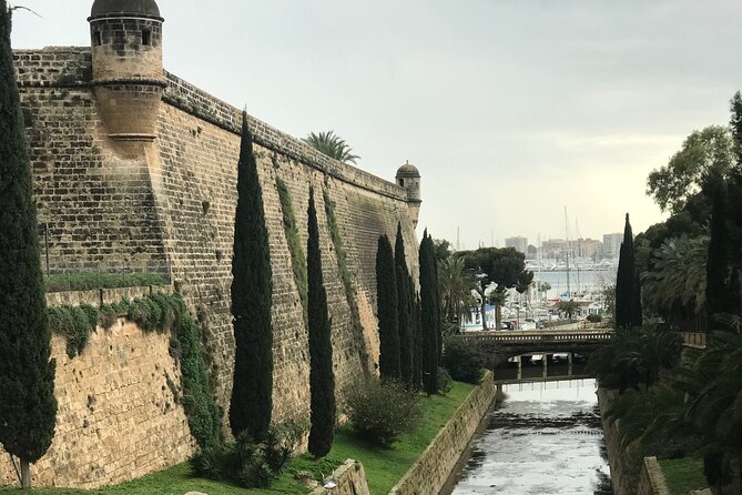 Palma de Mallorca: PRIVATE Local Food And Cathedral Experience - Inside the Cathedral of Santa Maria of Palma: The Stories Behind the Stones