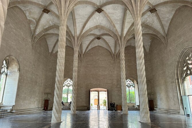 Palma de Mallorca Shore Excursion Bike Tour (Transfer Included) - Price, Transfers, and What You Really Get for $111