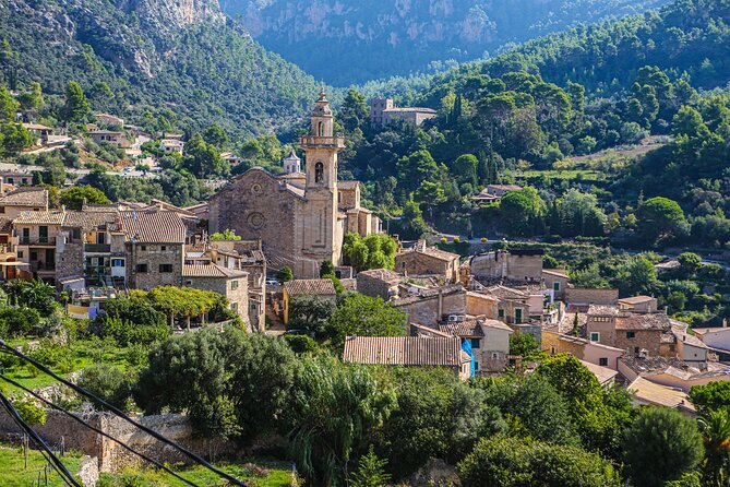 Palma de Mallorca Shore Excursion: Private Tour of Valldemossa, Soller and Serra de Tramuntana - Price, time, and the real value of a $590.14 private half-day