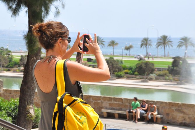 Palma de Mallorca Sightseeing Day Tour - Plaza Mayor, the medieval lanes, and the Arab Baths option