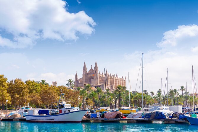 Palma de Mallorca Sightseeing Day Tour - The port drive: seeing Palma’s must-dos from the coach