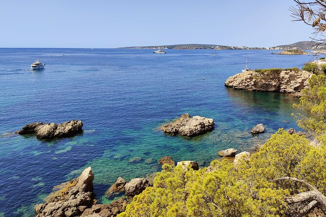 Palma de Mallorca: Small Group Tour by Locals in Hidden Coves - Key Things You’ll Notice on This Hidden Coves Tour