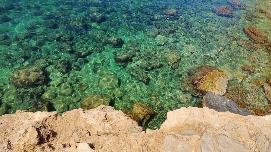 Palma de Mallorca: SmallGroup Tour by Locals in Hidden Coves - My booking advice: should you do this hidden coves tour from Palma?