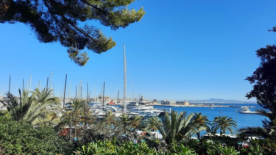 PALMA DE MALLORCA & SOLLER MIT BAHN & STADTFÜHRUNG ab Palma - What to Bring, So the Day Feels Easy