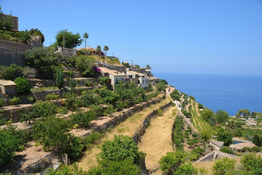 Palma de Mallorca: Son Juliana Wine Experience and Tasting - Key things to know before you go