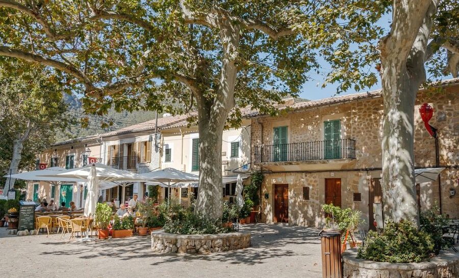Palma de Mallorca: Son Juliana Wine Experience and Tasting - From vine to bottle: what you learn during the guided winery walk
