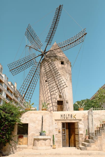 Palma de Mallorca: Spanish Cooking Experience - What makes the instruction feel different, Riccardo, Vivian, Maria, Nick