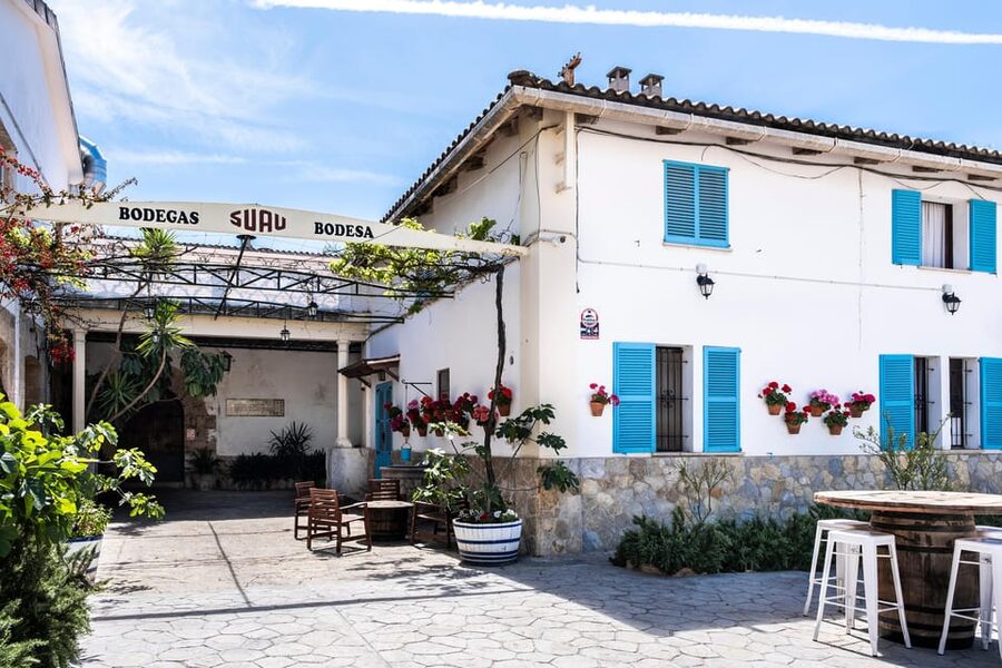 Palma: Distillery Tour with 3 Spirits and Tapas Tasting - Stop 2: Tasting 3 barrel-aged brandies with tapas