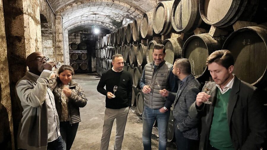 Palma: Distillery Tour with 6 Spirits and Tapas Tasting - Certified wine educator guides, and why the language support matters