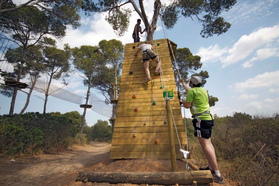 Palma: Family or Sports Course Adventure at Forestal Park - Forestal Park Mallorca: Two Course Types in One Treetop Playground
