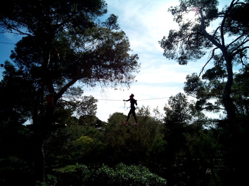 Palma: Family or Sports Course Adventure at Forestal Park - Choosing the Right Course: Family vs Sport (Height, Freedom, Thrills)