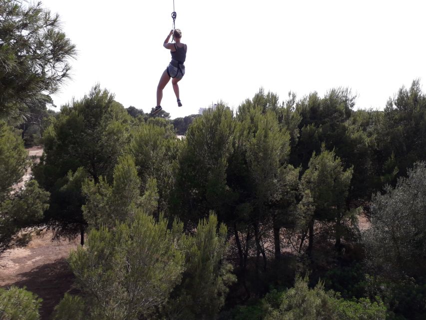 Palma: Family or Sports Course Adventure at Forestal Park - What Happens When You Arrive: Harnesses, Setup, and Self-Paced Circuits
