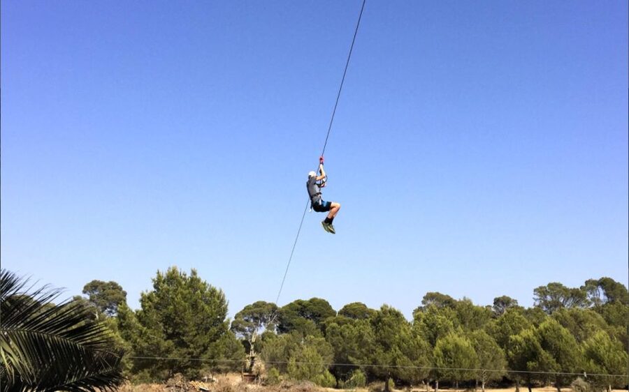 Palma: Family or Sports Course Adventure at Forestal Park - The Big Moments: Tibetan Bridges, Wall Climbs, and the 200+ Meter Zip Line