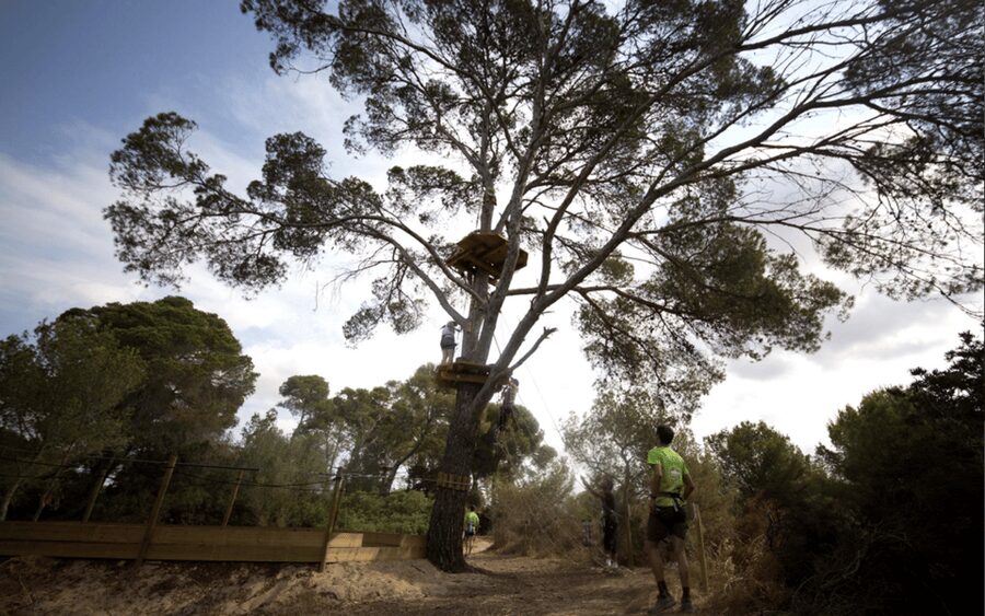 Palma: Family or Sports Course Adventure at Forestal Park - How to Handle Mallorca Heat: Wear Right, Think Safety, Bring Your Own Snacks