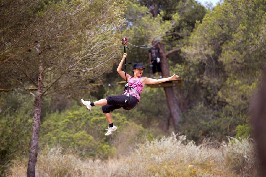 Palma: Family or Sports Course Adventure at Forestal Park - Price and Time Value: What $31 Buys You in Real Hours