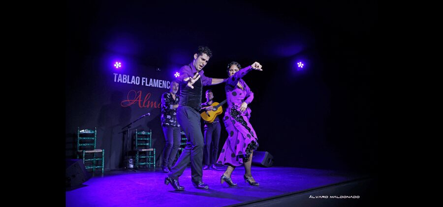 Palma: Flamenco Show at Tablao Flamenco Alma with Drink - Key highlights you will actually care about