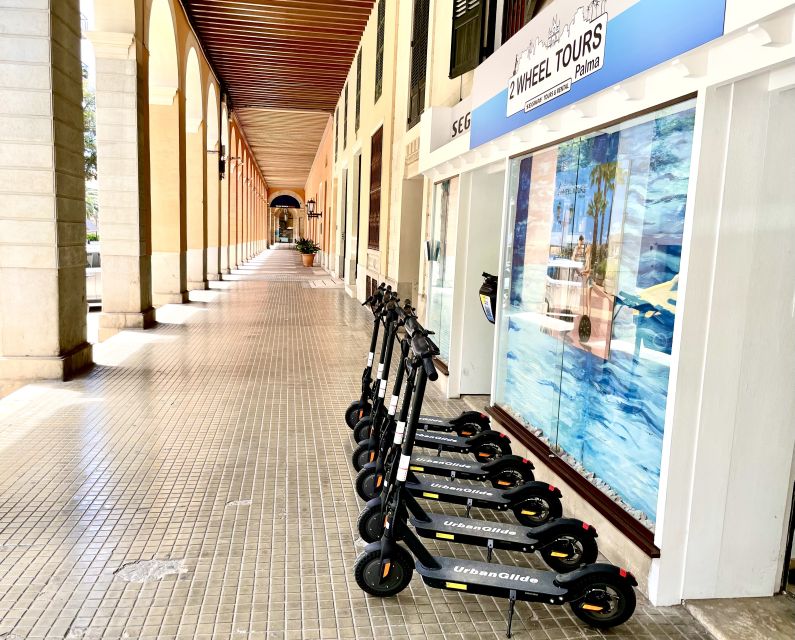 Palma: Guided 1.5 H city tour on Electric scooter - Parc de la Mar: Cathedral and Royal Palace Views You Can Actually Use