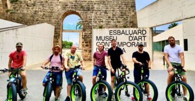 Guided City Tour with a Fat Tire E-Bike