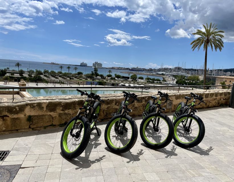 Palma: Guided City Tour with a Fat Tire E-Bike - Riding the bay promenade: Portixol to El Molinar