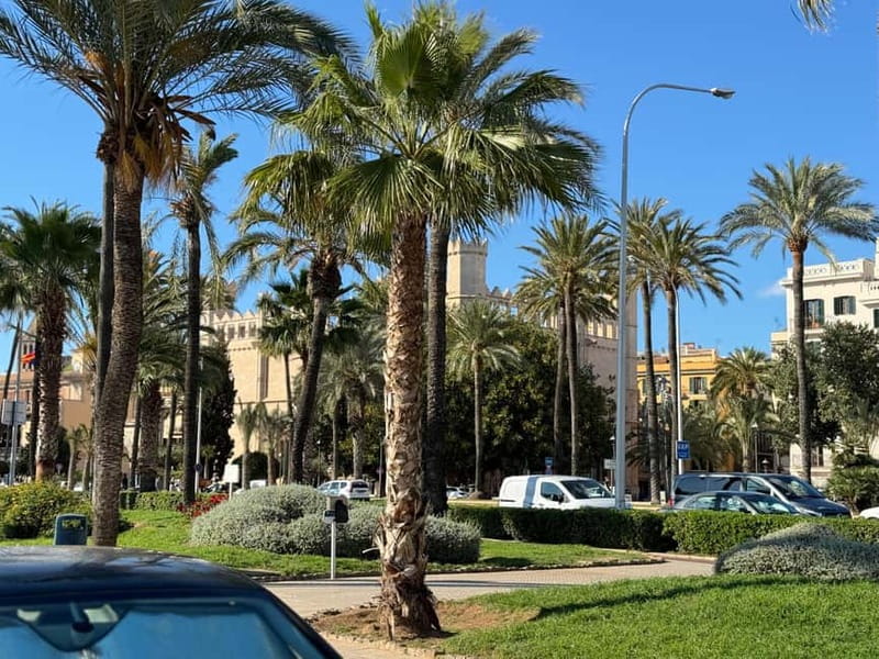 Palma in person and away from the crowds - Bellver Castle, why the old town view matters