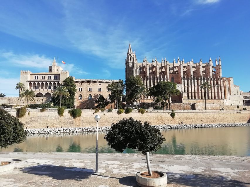 Palma old town for the first time - Parc de la Mar, where Palma Cathedral jumps into focus