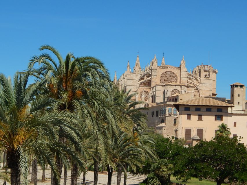 Palma old town for the first time - Ending at Mercat de l’Olivar, turning the tour into a full afternoon