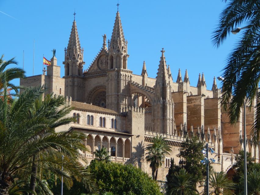 Palma: Old Town Walking Tour & Cathedral Skip-the-Line - Old Town walking route: from Parc de la Mar to medieval streets