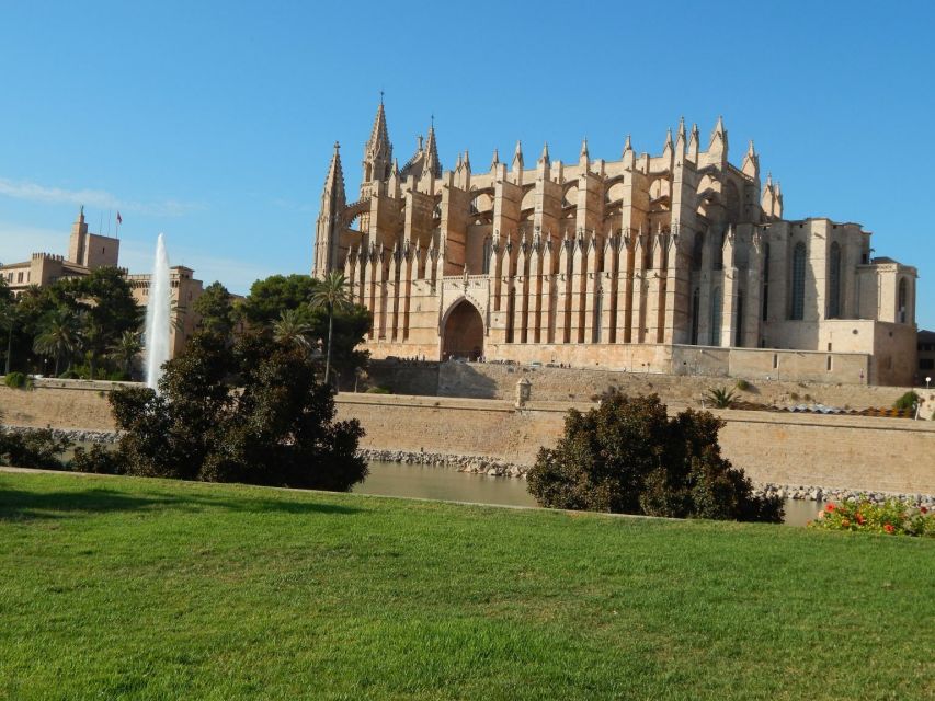 Palma: Old Town Walking Tour & Cathedral Skip-the-Line - The ending at Mercat de l’Olivar: where your tour becomes food time