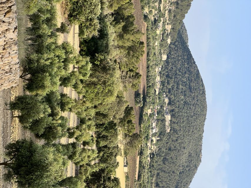 Palma: Orange Farm, Olive Mill, & Winery Tour with Tastings - Key Highlights Worth Marking On Your Map
