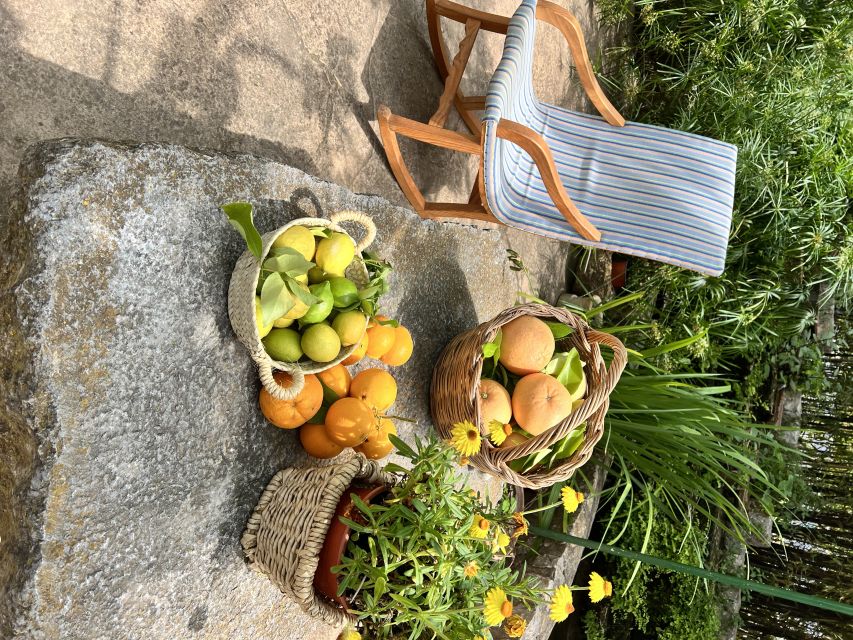 Palma: Orange Farm, Olive Mill, & Winery Tour with Tastings - Orange Plantation Stop: Citrus History, Juice Tastings, and How They Grow Flavor